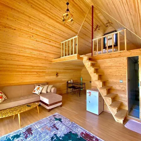 Wonderful Bungalow With Private Pool, Garden And Bbq In Apartament Fethiye